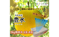 豊水梨&nbsp;3kg箱詰め(鳥取県佐治町産)&nbsp;[あくつの梨]