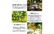 豊水梨&nbsp;3kg箱詰め(鳥取県佐治町産)&nbsp;[あくつの梨]