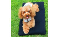 クロッツ&nbsp;わんちゃんパワークール&nbsp;L_2608R