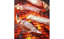 1046.【2025年12月～2026年1月発送】特撰&nbsp;松葉がに（茹）【訳あり】900g超の大きいサイズ&nbsp;食べ応えあり&nbsp;特大3杯