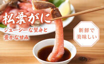 1048.【2025年12月～2026年1月発送】特撰&nbsp;松葉がに（茹）【訳あり】800g超の大きいサイズ&nbsp;食べ応えあり&nbsp;特大2杯