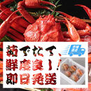 1051.【2025年12月～2026年1月発送】特撰&nbsp;松葉がに（茹）【訳あり】700g超のサイズ&nbsp;食べ応えあり&nbsp;2杯