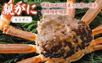 1065.【2025年12月発送】鳥取県産&nbsp;特撰&nbsp;親がに&nbsp;姿【セコガニ】（茹）100g&nbsp;5杯