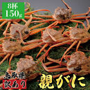 1069.【2025年12月発送】鳥取県産&nbsp;特撰&nbsp;親がに&nbsp;姿【セコガニ】（なま）【訳あり】150g&nbsp;8杯