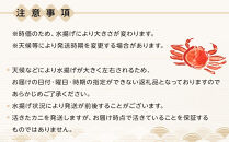 1071.【2025年12月発送】鳥取県産&nbsp;特撰&nbsp;親がに&nbsp;姿【セコガニ】（なま）【訳あり】100g&nbsp;5杯