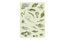 オリジナル【北斎漫画シール】4点セット／名古屋刀剣博物館