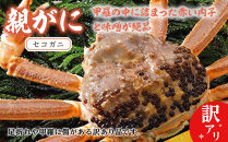 1072.【2025年12月発送】鳥取県産&nbsp;特撰&nbsp;親がに&nbsp;姿【セコガニ】（茹）【訳あり】100g&nbsp;8杯