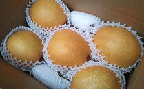 王秋梨&nbsp;3kg【まえた農園】