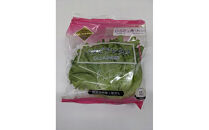 Osaka&nbsp;Agri&nbsp;Marche&nbsp;フリルレタス・バタビアレタス