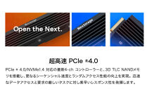 Nextorage&nbsp;PS5用内蔵SSD&nbsp;4TB&nbsp;NEM-PAC
