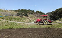 なつほのか&nbsp;10kg&nbsp;（精米）【先行予約／数量限定】