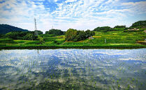 なつほのか&nbsp;10kg&nbsp;（精米）【先行予約／数量限定】