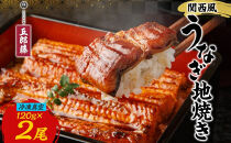 関西風うなぎ地焼き&nbsp;冷凍真空&nbsp;2尾×120g&nbsp;うなぎ&nbsp;ウナギ&nbsp;タレ&nbsp;老舗&nbsp;伝統&nbsp;蒲焼き&nbsp;真空パック&nbsp;小分け&nbsp;丑の日&nbsp;ひつまぶし&nbsp;うな重&nbsp;お取り寄せ&nbsp;グルメ&nbsp;プレゼント&nbsp;贈答&nbsp;贈り物&nbsp;土用の丑の日&nbsp;五郎藤&nbsp;大阪府&nbsp;堺市