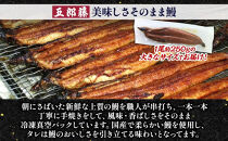 関西風うなぎ地焼き特大&nbsp;冷凍真空&nbsp;1尾×250g&nbsp;うなぎ&nbsp;ウナギ&nbsp;タレ&nbsp;老舗&nbsp;伝統&nbsp;蒲焼き&nbsp;真空パック&nbsp;小分け&nbsp;丑の日&nbsp;ひつまぶし&nbsp;うな重&nbsp;お取り寄せ&nbsp;グルメ&nbsp;プレゼント&nbsp;贈答&nbsp;贈り物&nbsp;土用の丑の日&nbsp;五郎藤&nbsp;大阪府&nbsp;堺市