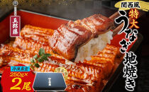 関西風うなぎ地焼き特大&nbsp;冷凍真空&nbsp;2尾×250g&nbsp;&nbsp;贈答&nbsp;うなぎ&nbsp;ウナギ&nbsp;タレ&nbsp;老舗&nbsp;伝統&nbsp;蒲焼き&nbsp;小分け&nbsp;丑の日&nbsp;ひつまぶし&nbsp;うな重&nbsp;お取り寄せ&nbsp;グルメ&nbsp;プレゼント&nbsp;贈答&nbsp;贈り物&nbsp;土用の丑の日&nbsp;五郎藤&nbsp;大阪府&nbsp;堺市