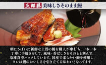 関西風うなぎ地焼き&nbsp;冷凍真空鰻きざみ&nbsp;140g×6パック&nbsp;うなぎ&nbsp;ウナギ&nbsp;タレ&nbsp;老舗&nbsp;伝統&nbsp;蒲焼き&nbsp;小分け&nbsp;丑の日&nbsp;ひつまぶし&nbsp;うな重&nbsp;お取り寄せ&nbsp;グルメ&nbsp;プレゼント&nbsp;贈答&nbsp;贈り物&nbsp;土用の丑の日&nbsp;五郎藤&nbsp;大阪府&nbsp;堺市