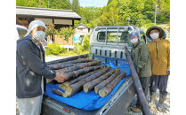 愛知県豊田市　塩糀味付け国産メンマ　80g×5袋