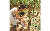 「西川農園」珍しいフルーツの摘み取り体験と農園カフェでくつろぎランチ