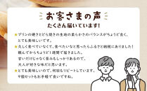 【定期便 全6回】【お菓子の菊家】ゆふいん創作菓子 ぷりんどら 9個入