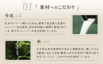 【定期便 全6回】【お菓子の菊家】ゆふいん創作菓子 ぷりんどら 9個入