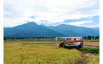 【令和7年産】南魚沼産　塩沢コシヒカリ「だすけ米」精米30kg