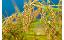 【令和7年産新米予約】南魚沼産　塩沢コシヒカリ「だすけ米」玄米5kg【2025年9月中旬より順次発送予定】