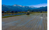 【令和7年産】南魚沼産　塩沢コシヒカリ「だすけ米」玄米20kg
