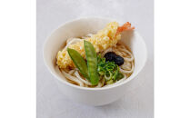 さぬき小豆島　手延冷凍調理うどん6種 12食セット（カレー２/えび天（焼きもち入）２/牛肉２/きつね２/えび天２/かきあげ２）