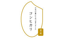 【先行予約受付】≪2025年11月発送≫令和7年産&nbsp;コシヒカリ&nbsp;玄米&nbsp;10kg（5kg×2袋）&nbsp;｜米&nbsp;お米&nbsp;新米&nbsp;数量限定