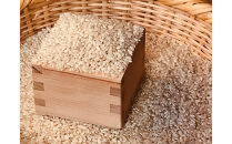 【先行予約受付】≪2025年11月発送≫令和7年産&nbsp;コシヒカリ&nbsp;玄米&nbsp;10kg（5kg×2袋）&nbsp;｜米&nbsp;お米&nbsp;新米&nbsp;数量限定