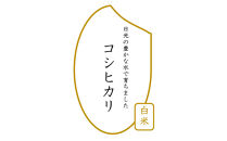 令和7年産&nbsp;コシヒカリ&nbsp;白米&nbsp;10kg（5kg×2袋）&nbsp;｜米&nbsp;お米&nbsp;数量限定