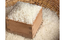 令和7年産&nbsp;コシヒカリ&nbsp;白米&nbsp;10kg（5kg×2袋）&nbsp;｜米&nbsp;お米&nbsp;数量限定