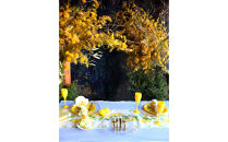 花の異空間　レンタルスペース（3名様・2時間）〈月～土　am9:00～pm5:00〉