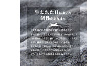 【ニッセン】まるで猫!のようなモフモフ2枚合わせ毛布(猫Feel)シングル&nbsp;三毛猫［&nbsp;京都&nbsp;nissen&nbsp;寝具&nbsp;吸湿&nbsp;発熱&nbsp;人気&nbsp;おすすめ&nbsp;洗える&nbsp;ギフト&nbsp;プレゼント&nbsp;お取り寄せ&nbsp;通販&nbsp;送料無料&nbsp;ふるさと納税&nbsp;］