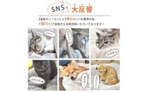 【ニッセン】まるで猫!のようなモフモフ敷きパッド(猫Feel)シングル 黒猫［ 京都 nissen 寝具 吸湿 発熱 人気 おすすめ 洗える 4隅ゴム ギフト プレゼント お取り寄せ 通販 送料無料 ふるさと納税 ］