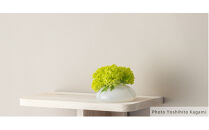 【スノー】フィンランド人デザイナーと群馬県のものづくりのコラボレーションから生まれた花瓶「ソフトベース」スモールサイズ