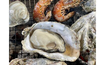 石川県七尾産　能登かき　殻付き　一斗缶（約80個）