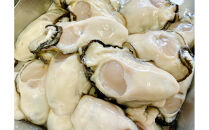 石川県七尾産　能登かき　むき身700g(約30粒)・殻付き&nbsp;約15個&nbsp;セット