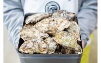 石川県七尾産　能登かき　むき身700g(約30粒)・殻付き&nbsp;約15個&nbsp;セット