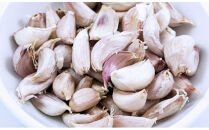 【訳あり】毎日食べて元気モリモリ！国東産乾燥にんにく/バラ0.8kg/こだわり減農薬栽培_2611R