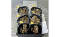 広島名物せんじがら（豚・鶏・牛）セット　各2個ずつ