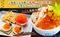 【新物】令和7年産　特選&nbsp;塩いくら（250g）北海道　様似町　イクラ　海鮮　魚介　グルメ　送料無料　