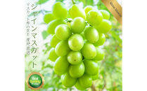 鳥取産&nbsp;シャインマスカット&nbsp;優品&nbsp;2房