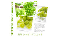 鳥取産&nbsp;シャインマスカット&nbsp;優品&nbsp;2房