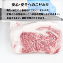 近江牛 ヒレステーキ 150g×5枚 牛長商会 みんなのお肉本舗