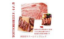 鳥取和牛&nbsp;サーロインブロック&nbsp;3kg