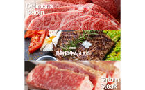 鳥取和牛&nbsp;サーロインブロック&nbsp;3kg