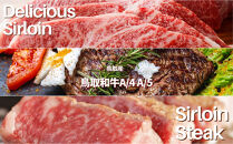 鳥取和牛&nbsp;サーロインブロック&nbsp;3kg