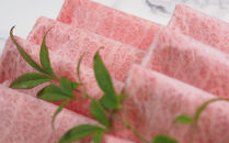 博多和牛肩ロース　すき焼きしゃぶしゃぶ用600g