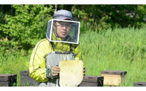 【スティック蜂蜜】アカシア 2.5g×50本入【 ハチミツ はちみつ ハニー 防災グッズ 常温 保存 備蓄 防災食 非常食 保存食 北海道 旭川市 】_05350